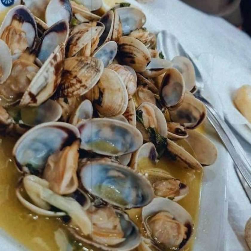 Clams