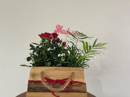 Wooden box resembling a wallet with a rose bush, you are an example of elegance.
