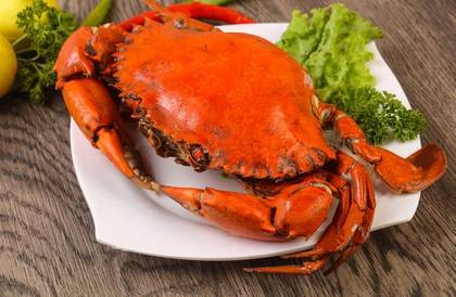 Crab
