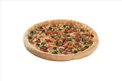Spicy Garden Special Pizza