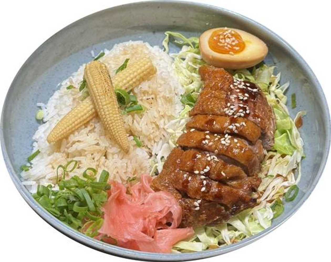 Arroz com Pato Frito