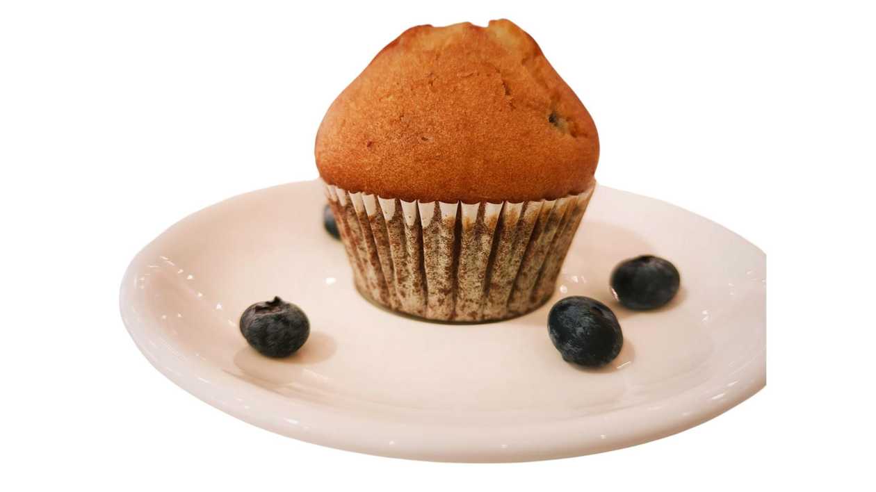 Blueberry Muffin