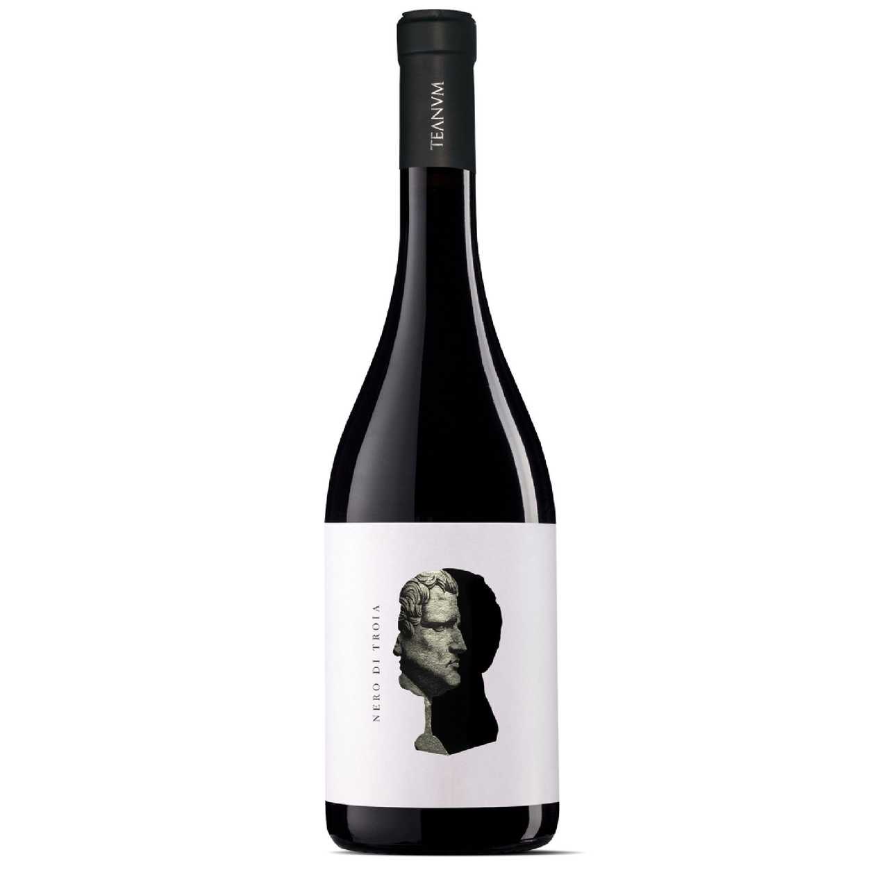 Teanum Òtre Nero di Troia Puglia IGP 2023 14% 0.75l (dry, Italy)