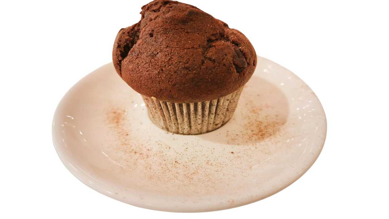 Chocolate Muffin