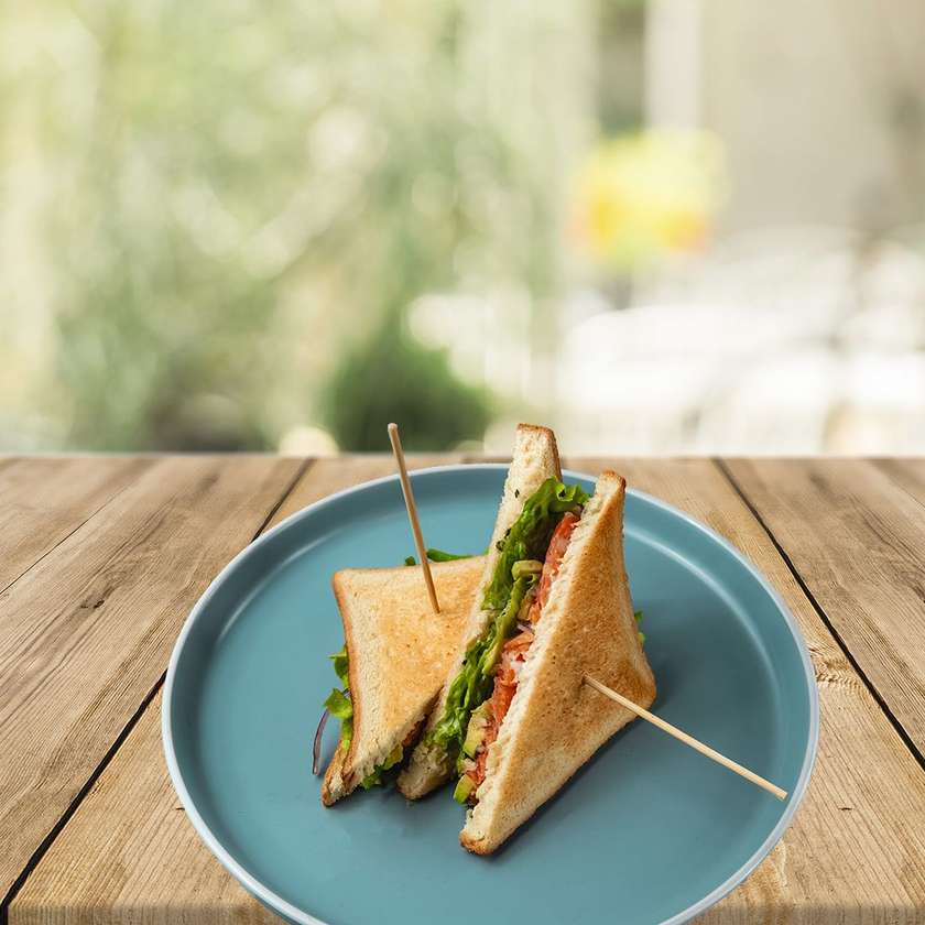 Salmon Sandwich