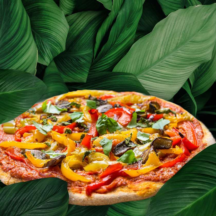 Vegetarian Pizza