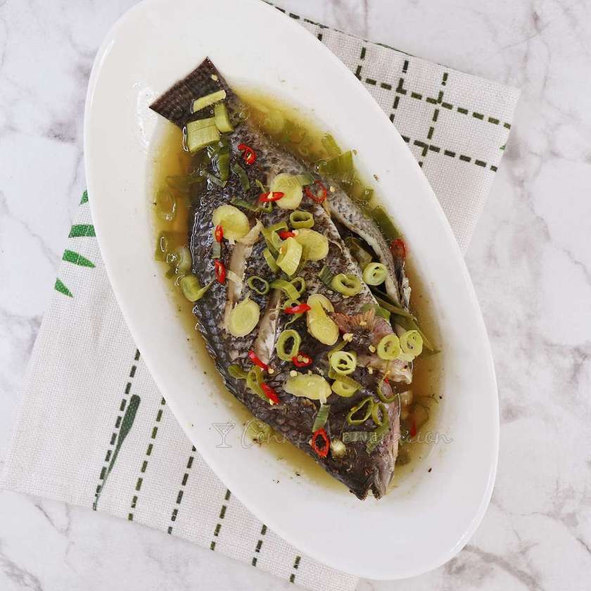 Tilapia