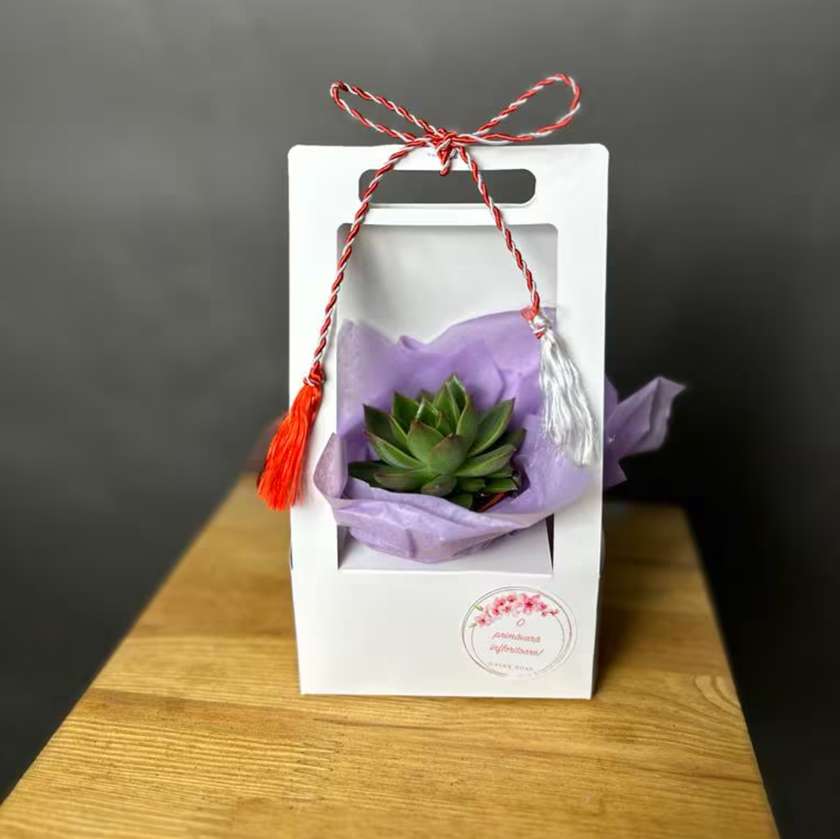 Mărțișor with Succulent Plant