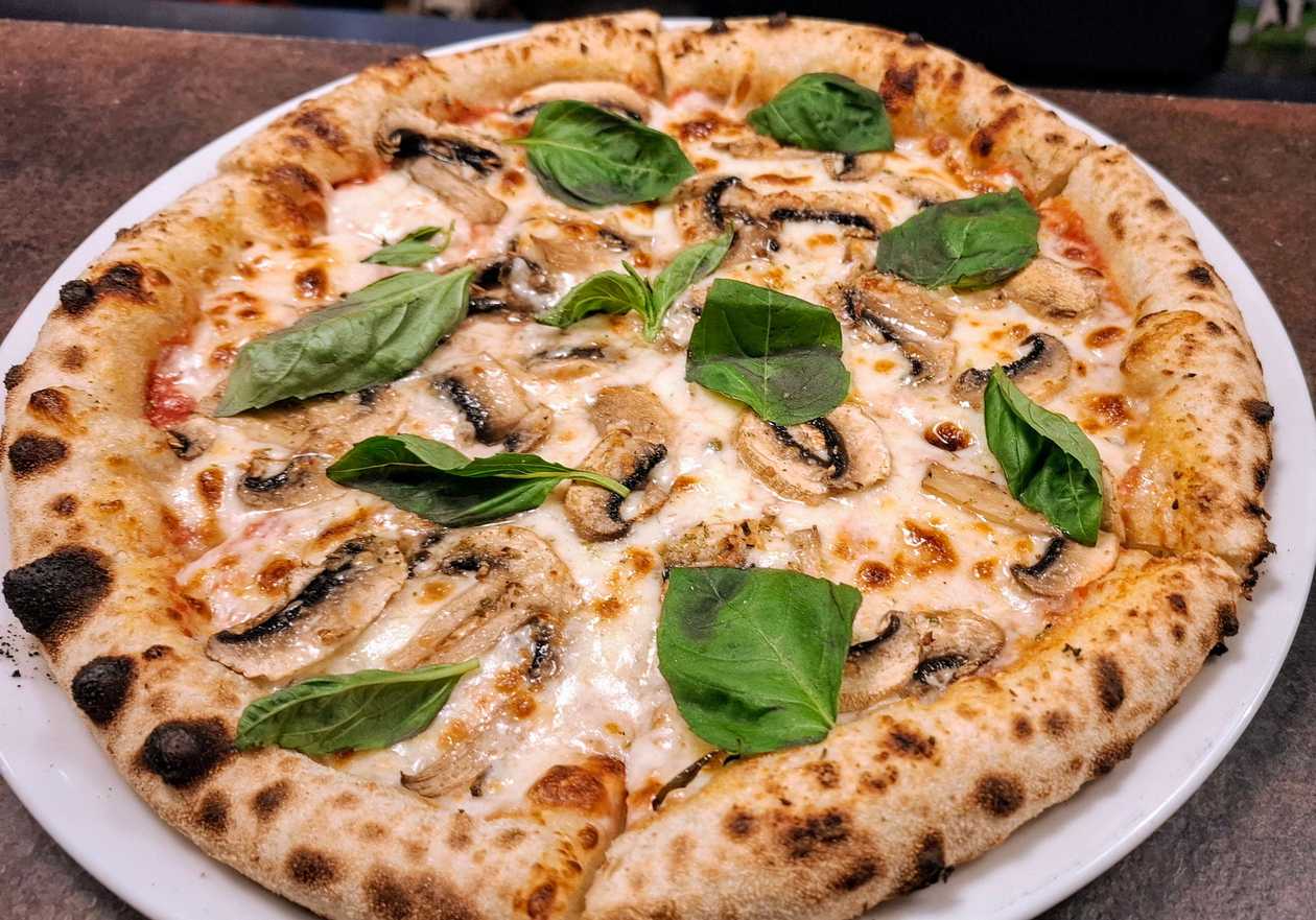 Cogumelo Trufado Pizza