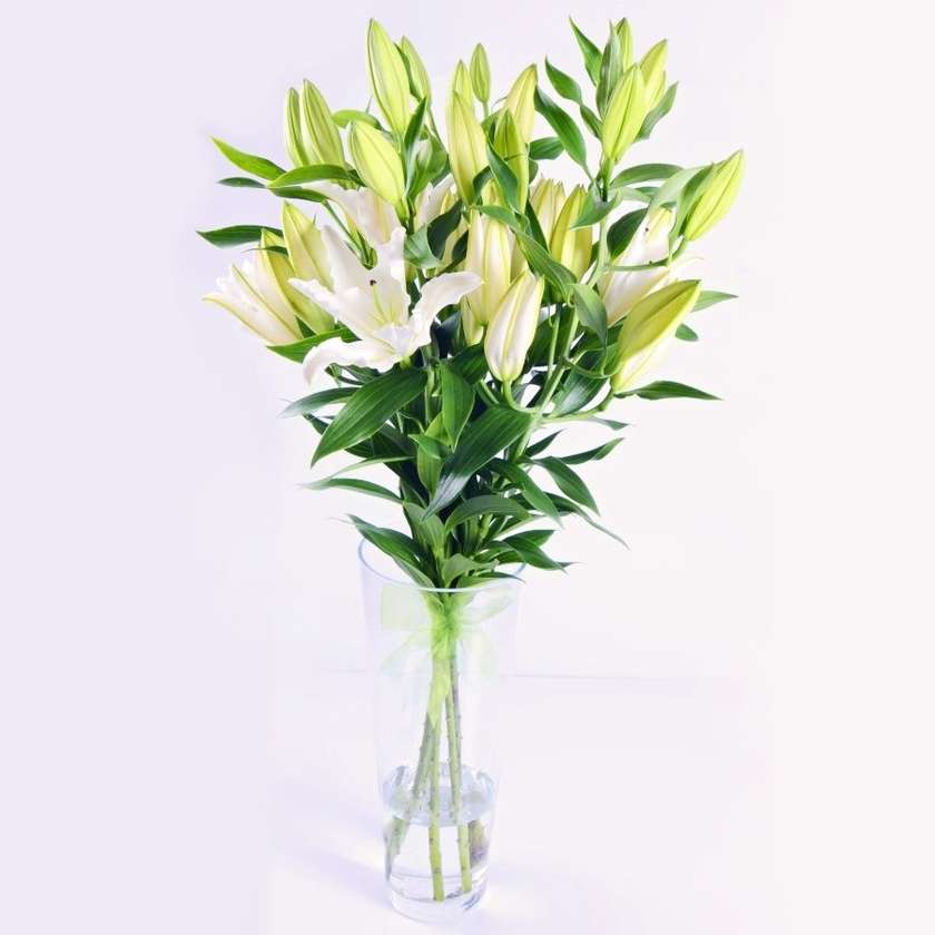 Royal White Lilies