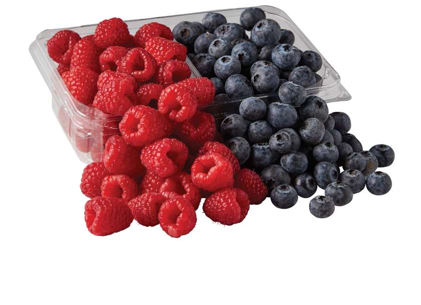 VNSN Quake Ultra Blueberry Raspberry Lemonade 30K Puffs