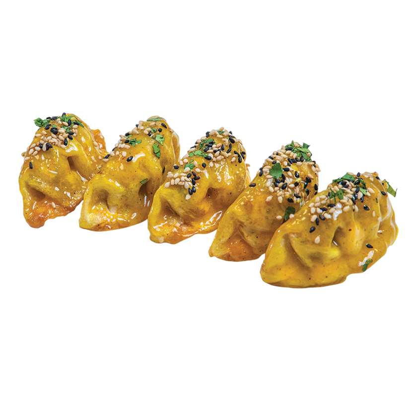 Curry chicken - gyoza 5ks