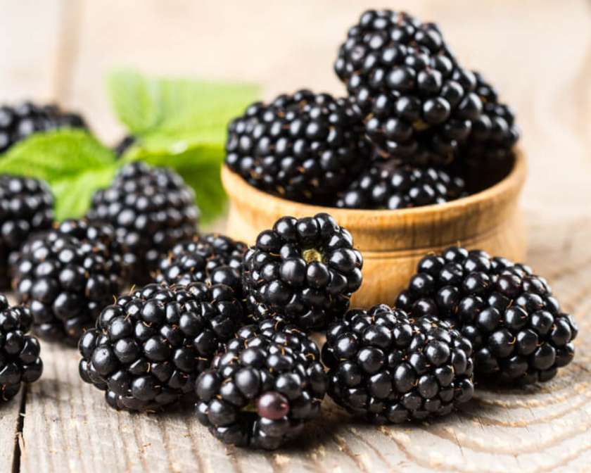 MOSMO Vape Blackberry 40000 Puffs