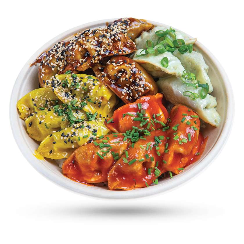 Misa Gyoza 16ks