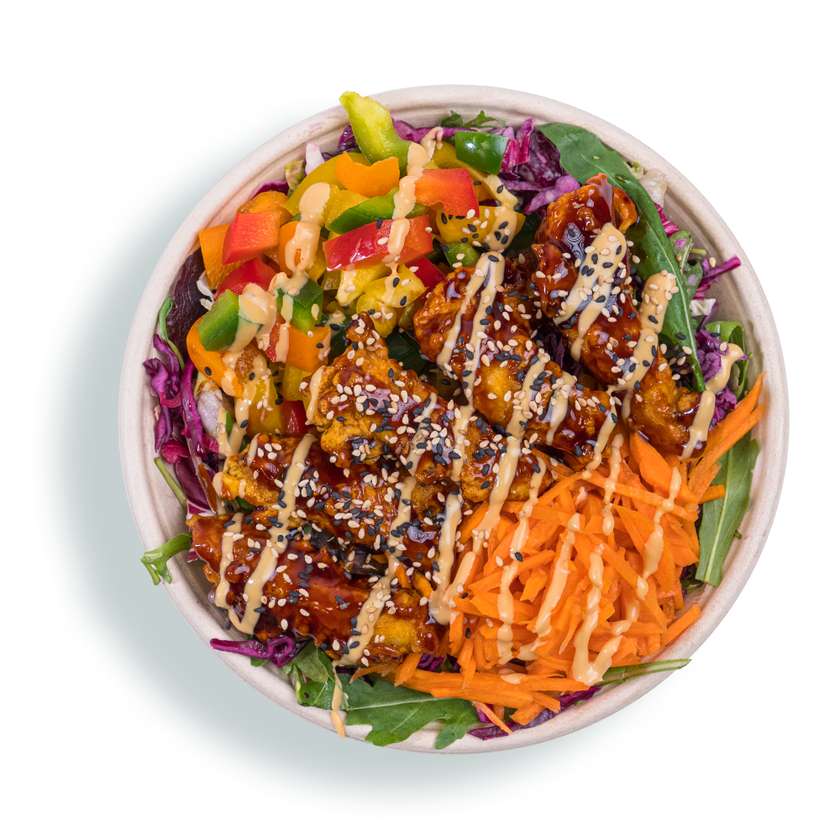 Rice teriyaki chicken