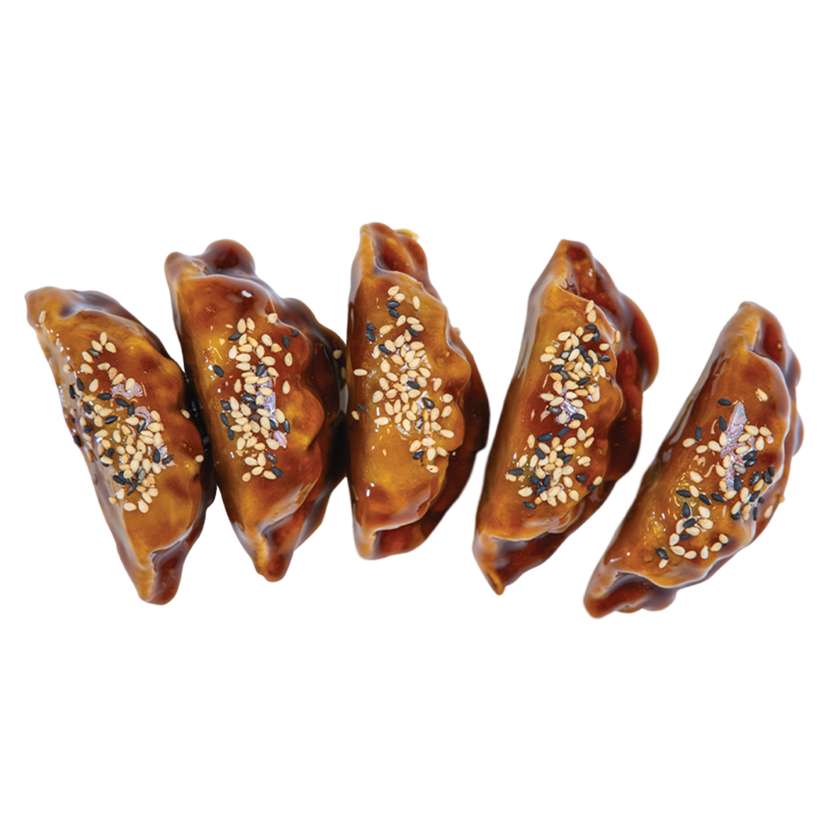 Chicken teriyaki - gyoza 5ks