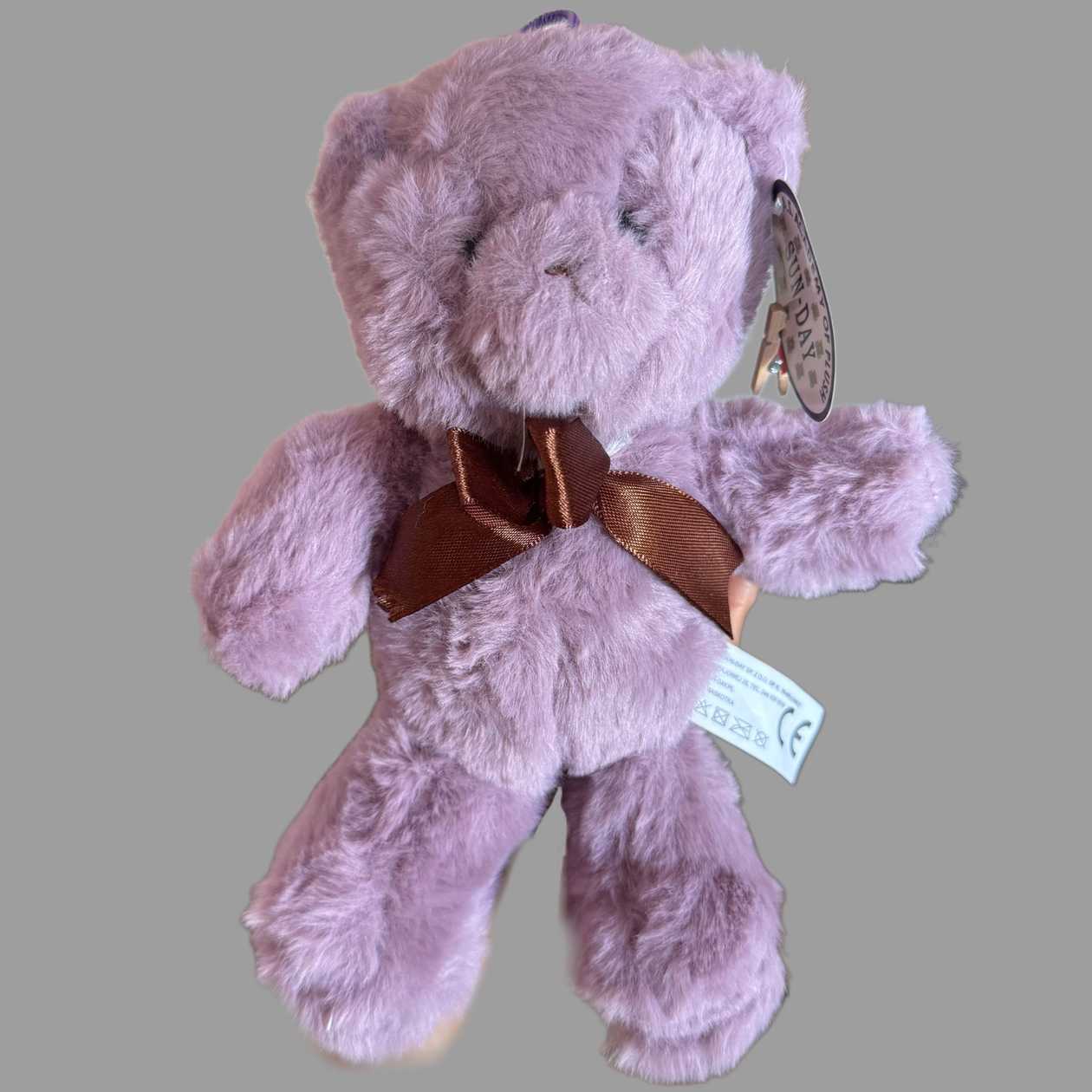 Small Teddy bear