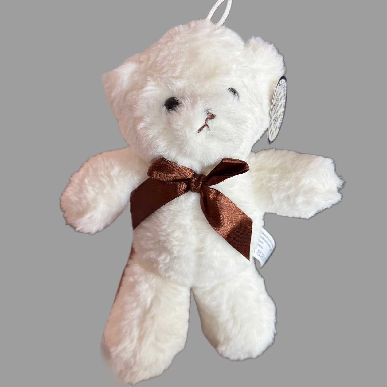 Small Teddy bear