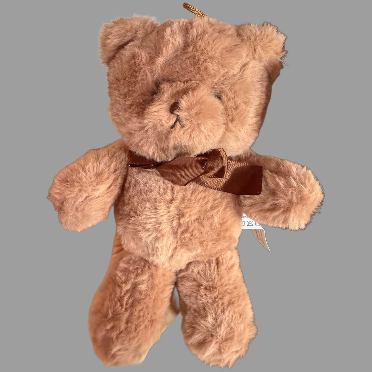 Small Teddy bear