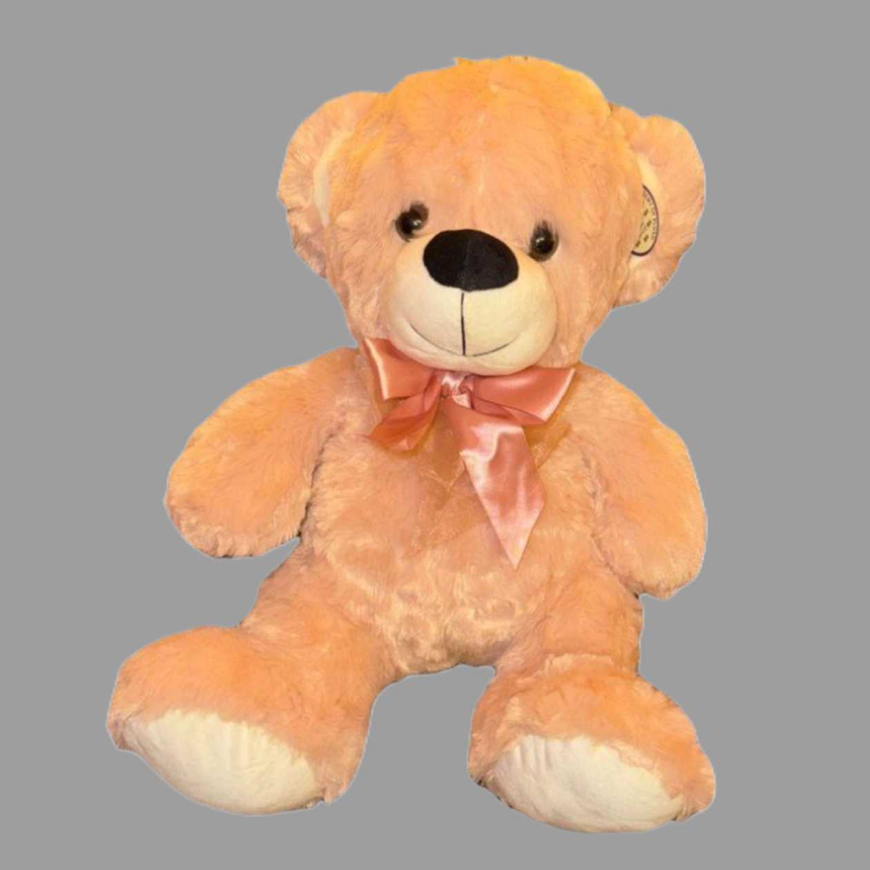 Teddy bear