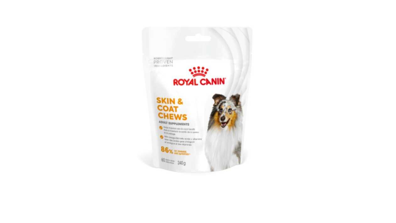ROYAL CANIN SKIN & COAT Treats for Adult Dogs for Healthy Skin & Coat 240G