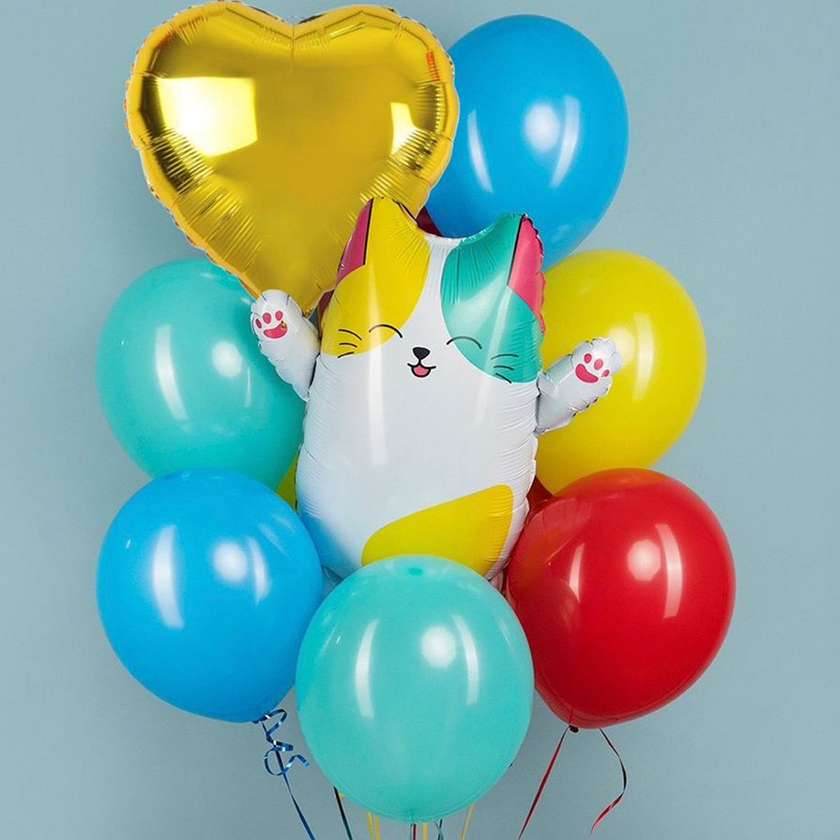 Set of balloons with helium Cat (12 pcs)(83)