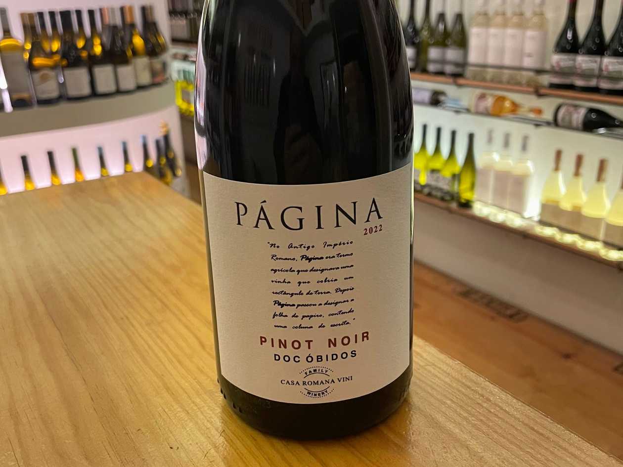 Página pinot noir tinto 2024