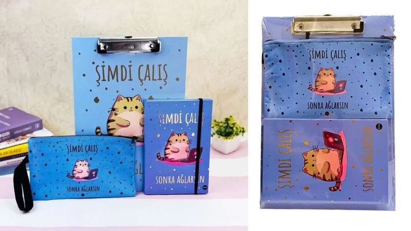 Work Now Cry Later Secretary Set