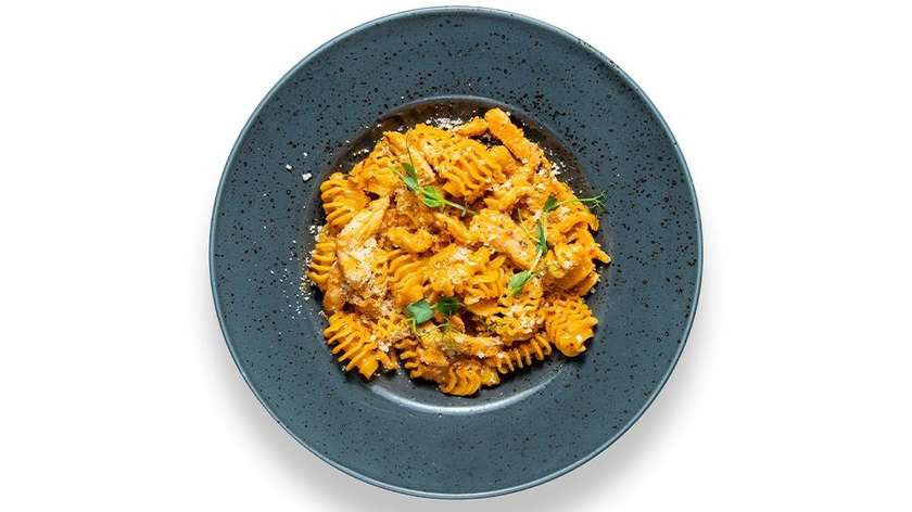 Pasta radiatori with red pesto and chicken