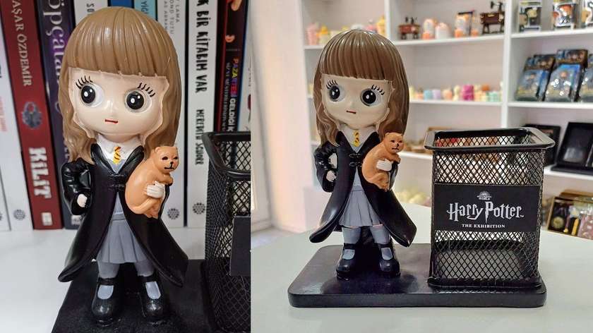 Pencil Case - Hermione
