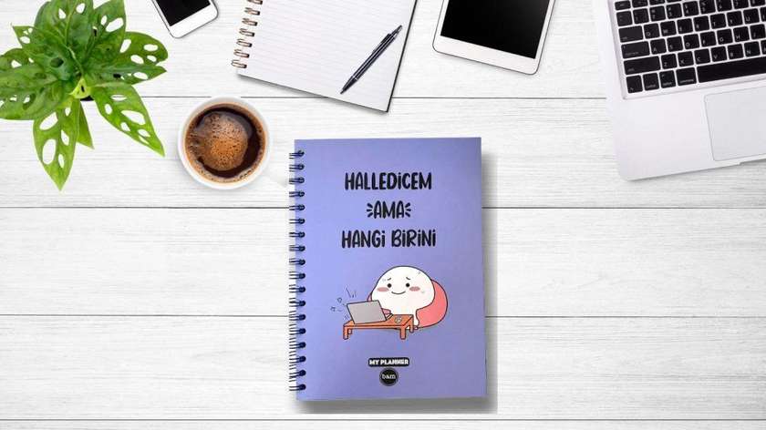 Talking Planner - I'll Handle It, But Which One? (4 Page Sticker Gift)