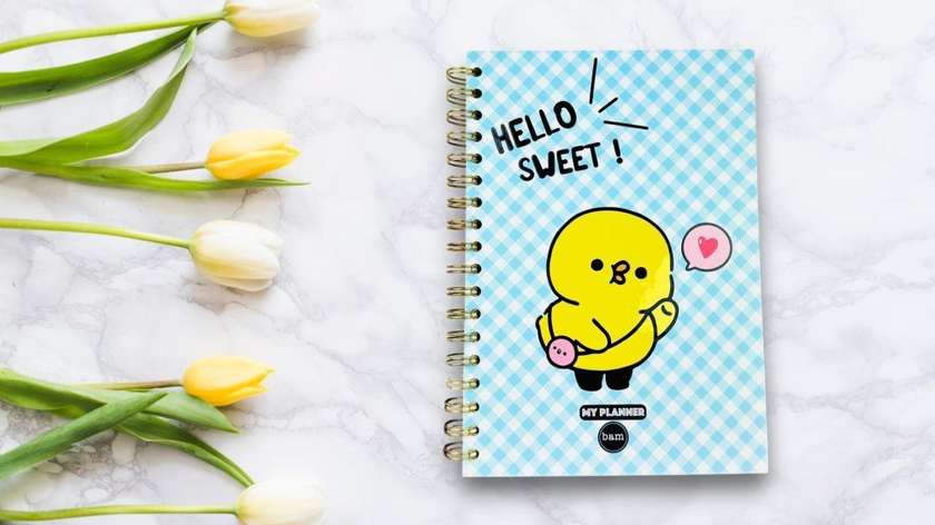 Talking Agenda - Hello Sweet (Includes 4 Pages of Stickers)