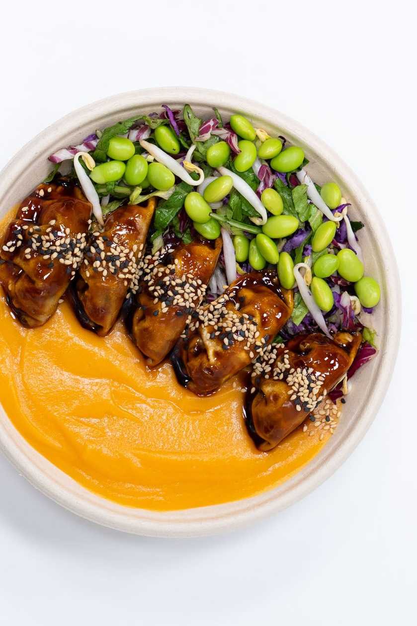 Gyoza bowl -teriyaki chicken