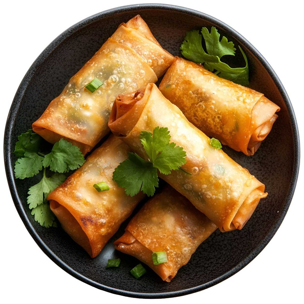 Vegetarian Spring Roll