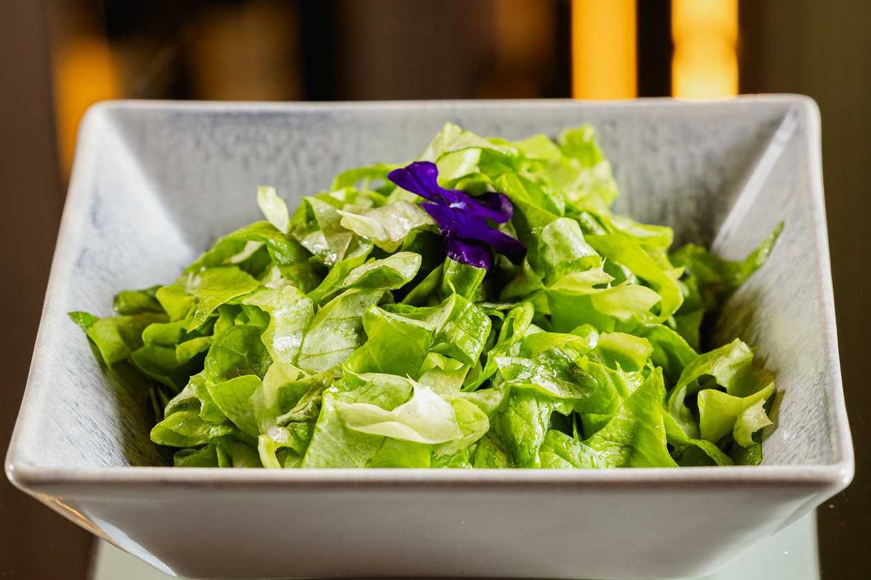 Mixt de salata verde