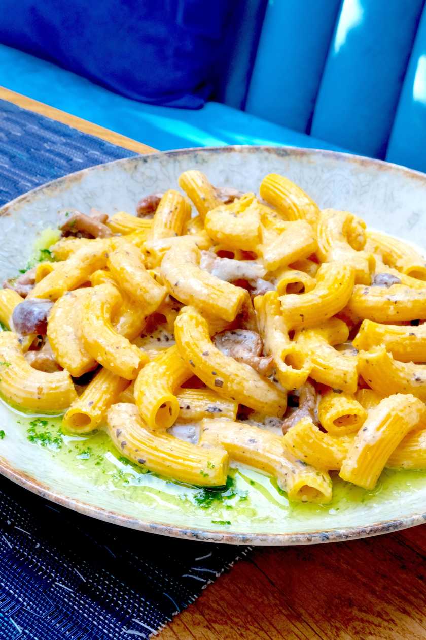 Rigatoni with Wild Mushrooms and Truffles