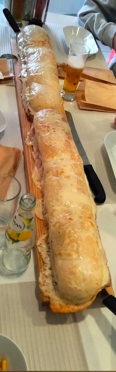 Cachorro Especial