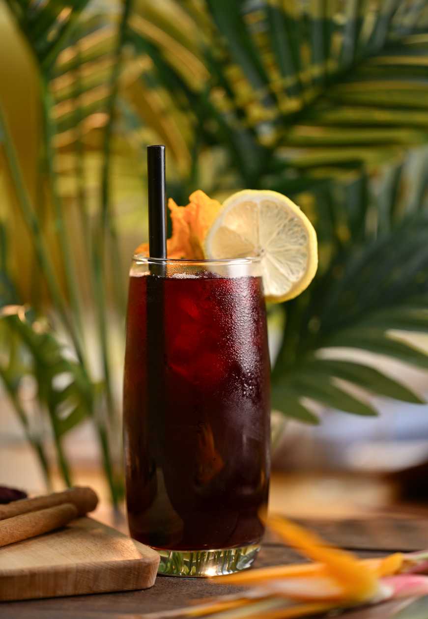 Hibiscus Iced Tea (Large)