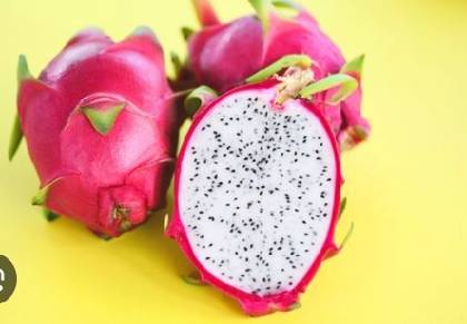fructul dragonului