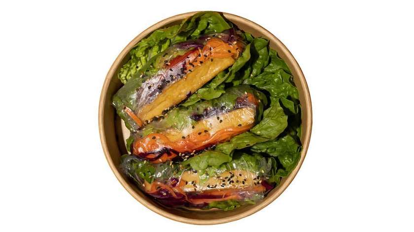 Spring Rolls "Rainbow Tofu" 3 szt