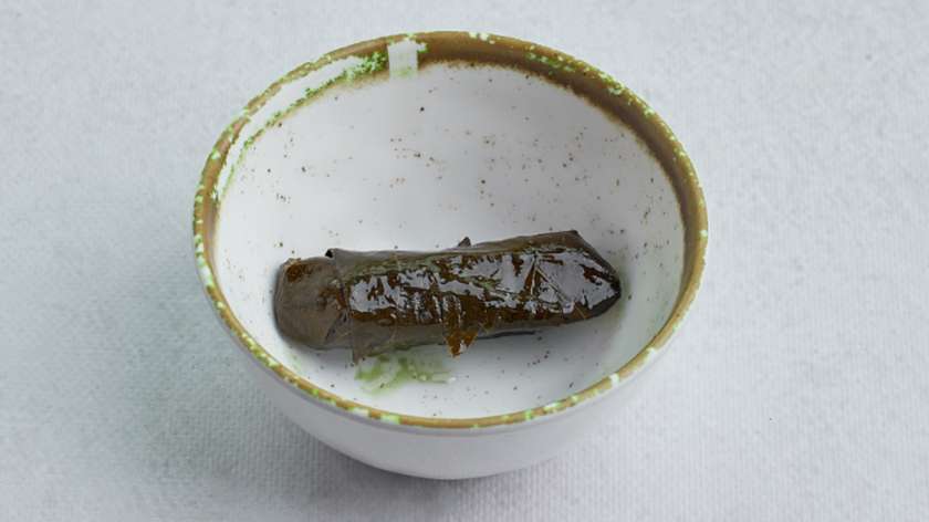 Dolma