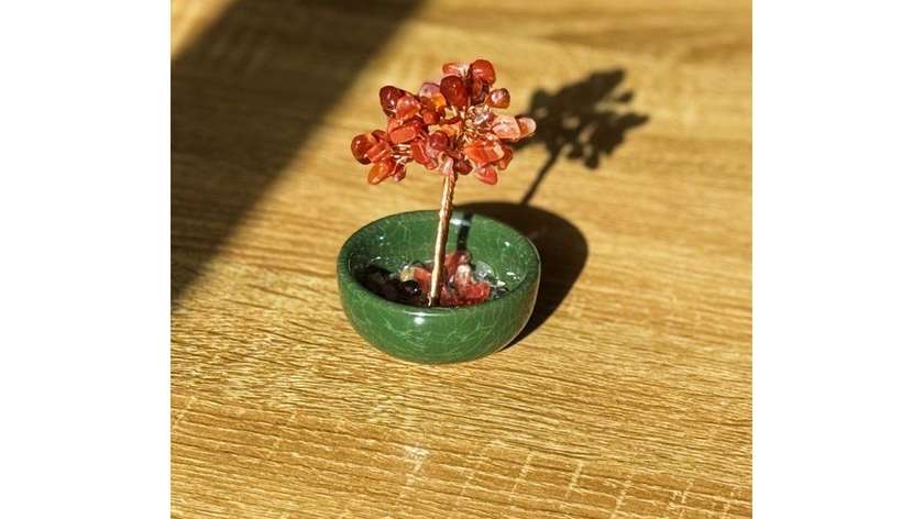 Carnelian Crystal Tree (105g)