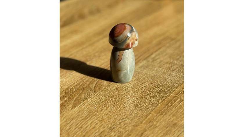 Polychrome Jasper Mushrooms (111g)