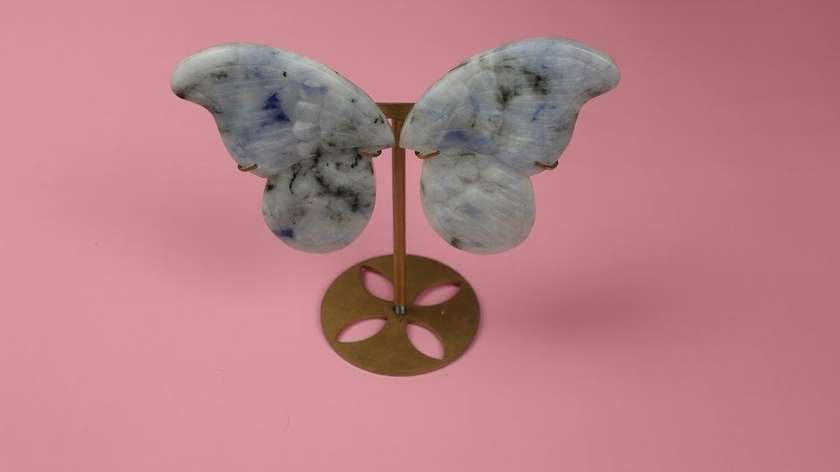Sodalite Butterfly (With Stand)