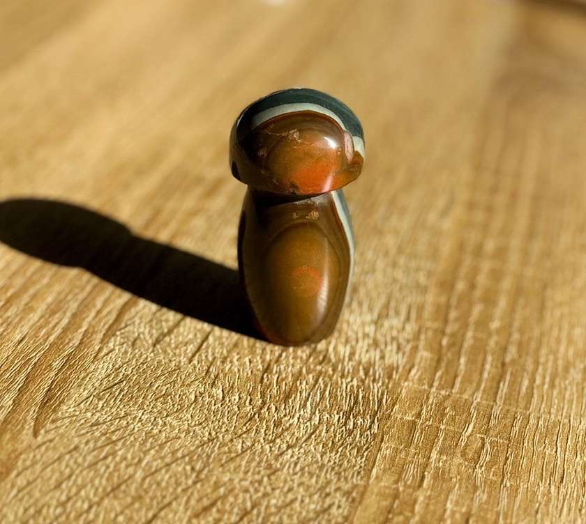 Polychrome Jasper Mushrooms (109g)