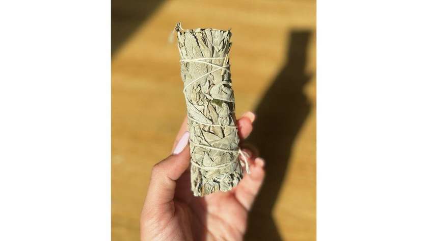 California White Sage