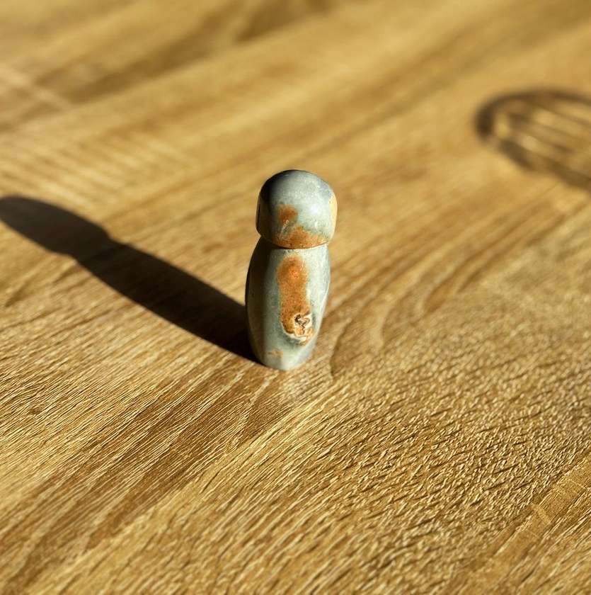 Polychrome Jasper Mushrooms (61g)