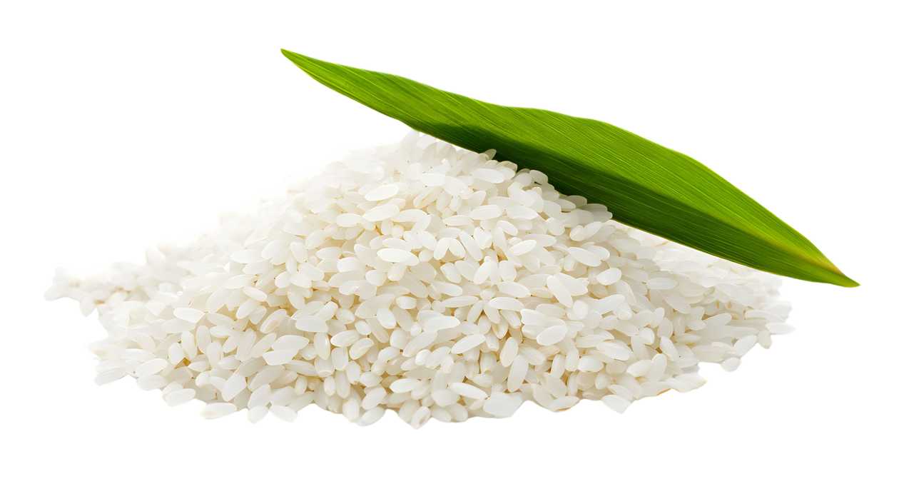 Plain Rice