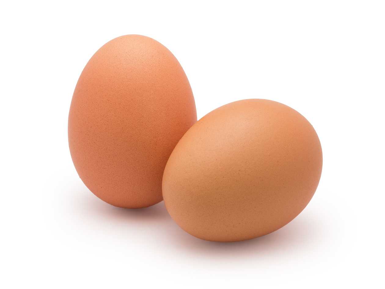 Egg