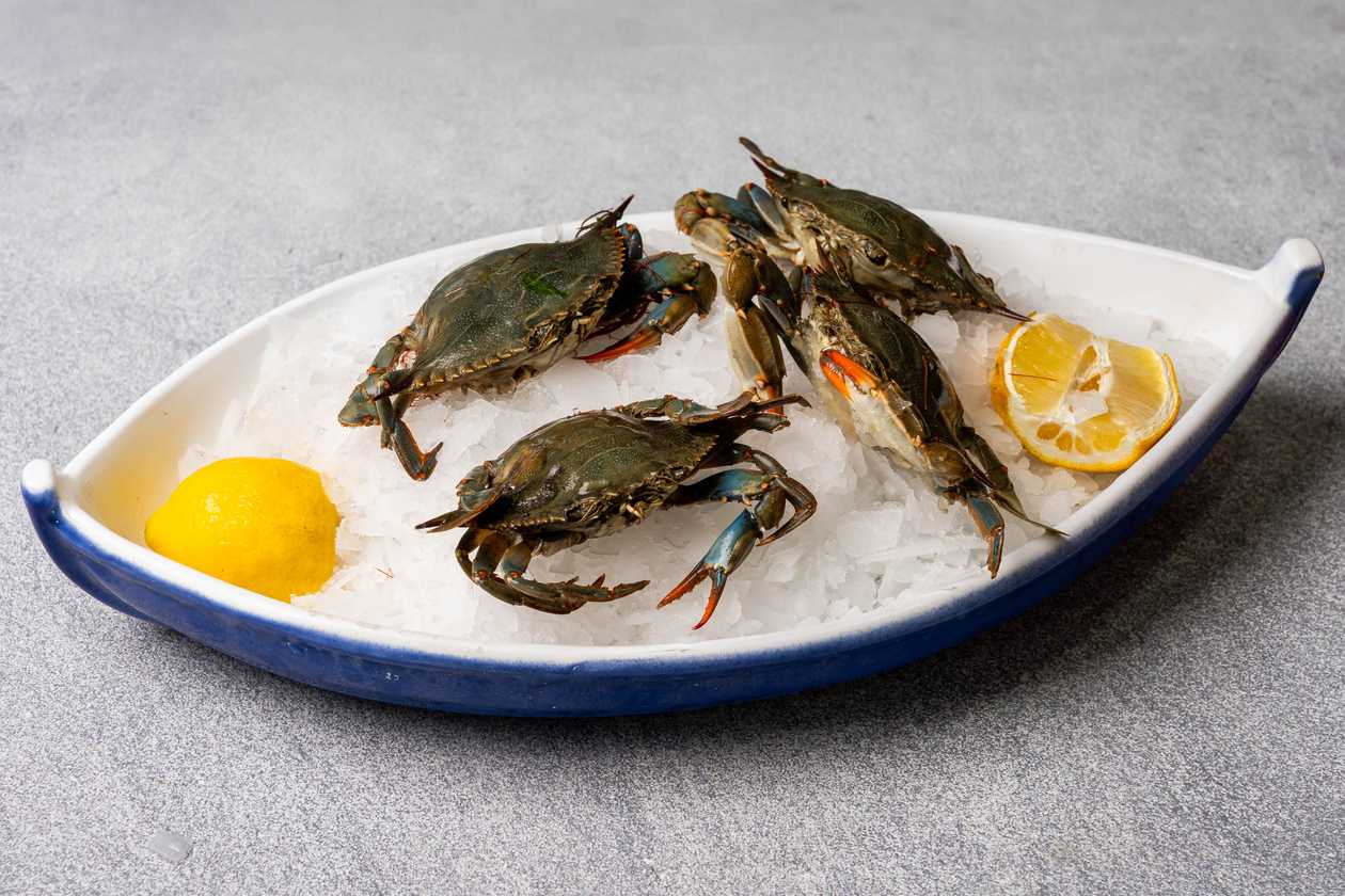 Blue crabs